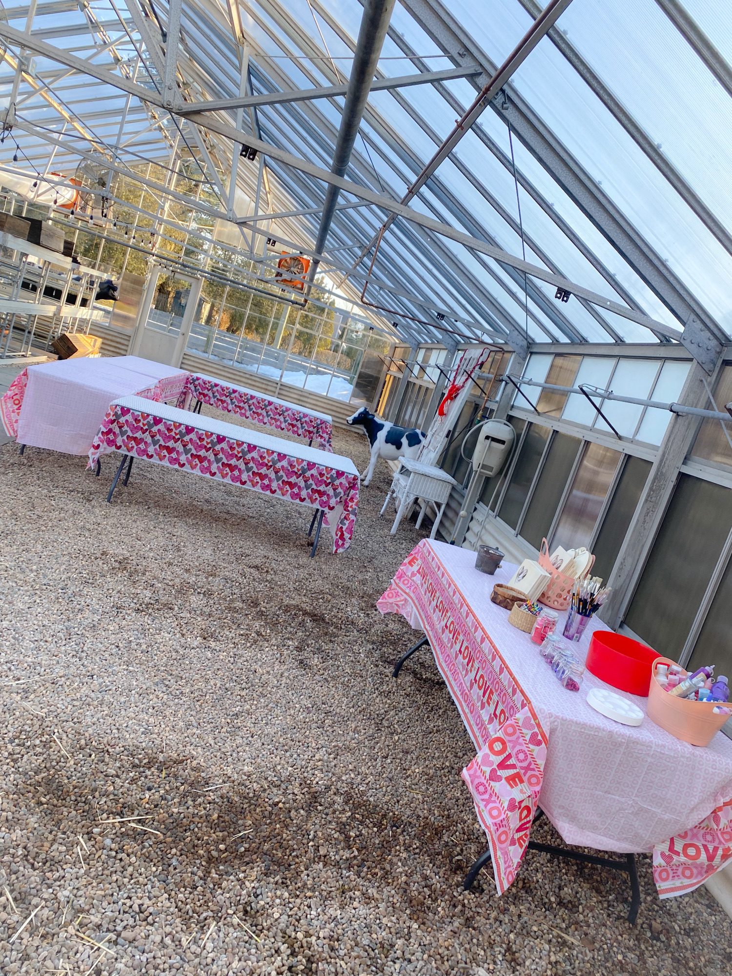 Children's Birthday Parties in CT