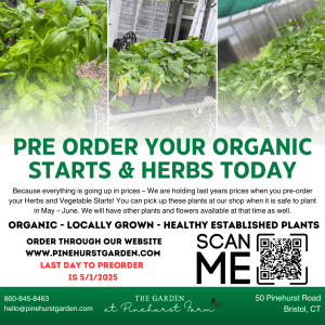 Organic Vegetable & Herbs in CT
